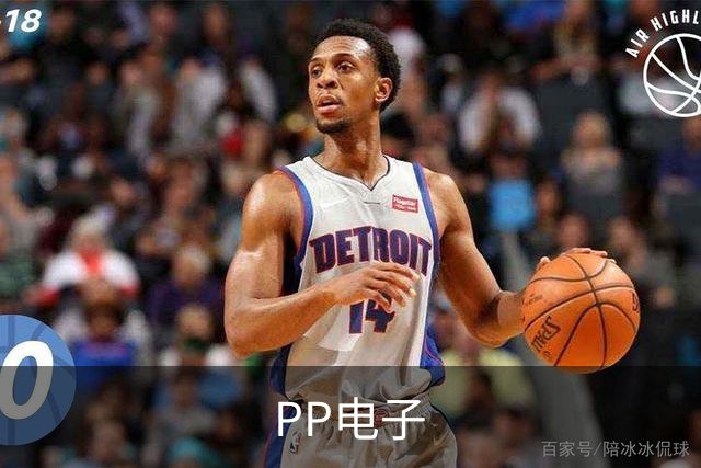 PP电子公司简介